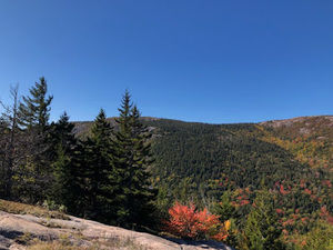 Meet your Posher, Jillian